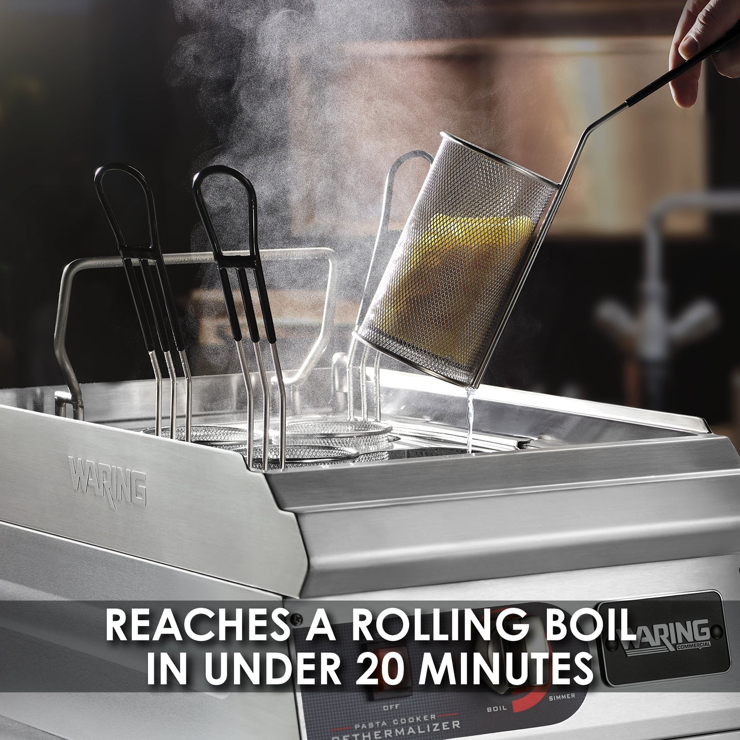 Waring PASTA COOKER/RE-THERMALIZER Model: WPC100